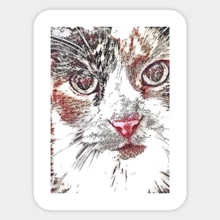 A cute cat photo Sticker